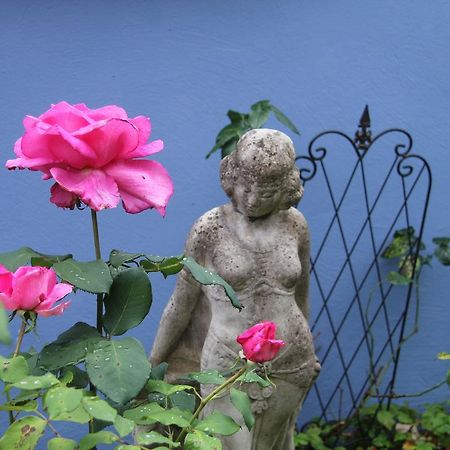 No.31 B&B Im Rosengarten Kapellen-Drusweiler Екстериор снимка