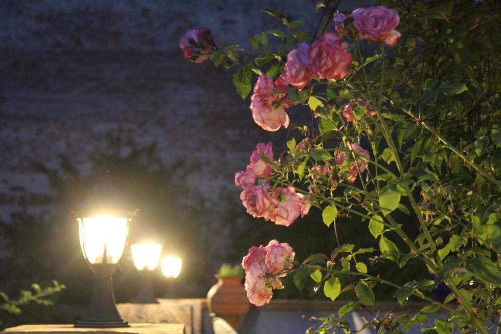 No.31 B&B Im Rosengarten Kapellen-Drusweiler Екстериор снимка