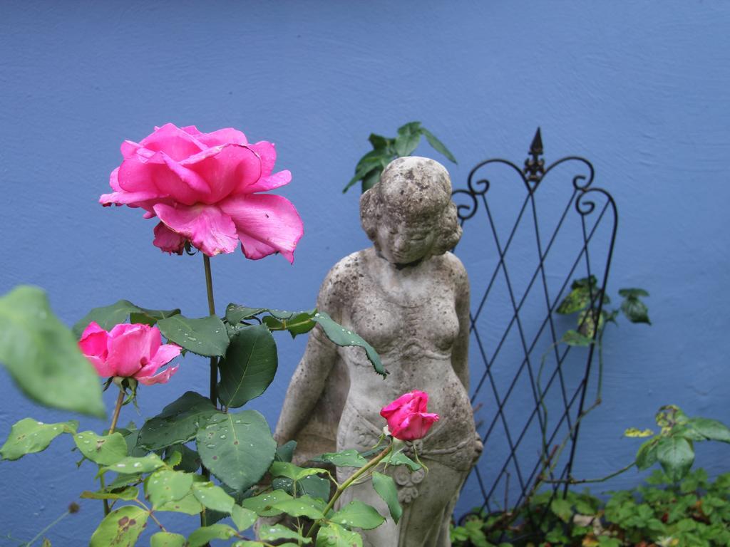 No.31 B&B Im Rosengarten Kapellen-Drusweiler Екстериор снимка