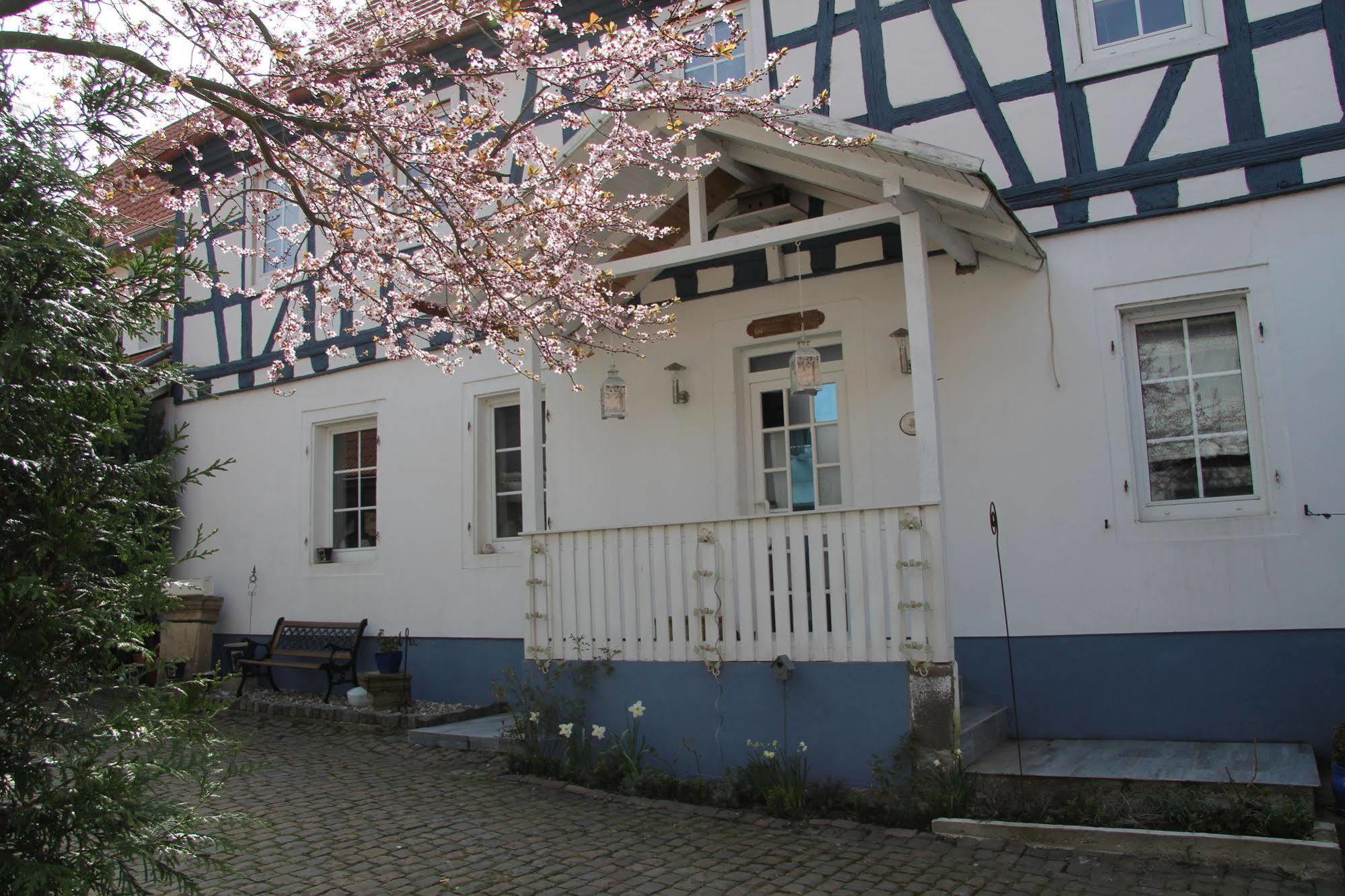 No.31 B&B Im Rosengarten Kapellen-Drusweiler Екстериор снимка